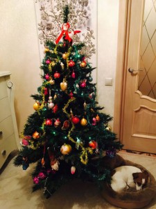 С новым годом!