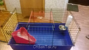 Отдам даром клетку, туфли, лекарства - JpqGtsihq7c (1).jpg