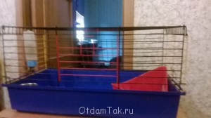 Отдам даром клетку, туфли, лекарства - 199k67XELO4 (1).jpg