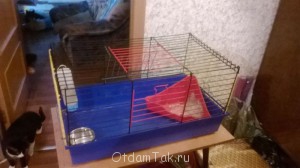 Отдам даром клетку, туфли, лекарства - Y20LOZXYDW8 (1).jpg