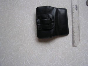 Отдано Чехол для телефона - P3010002.JPG