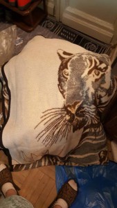 Вывоз метро Кутузовская