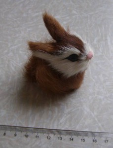 Разное - P3010008.JPG