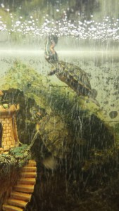 Красноухие черепахи - 20170128_125200.jpg