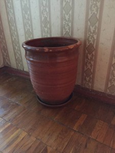 Отдам даром горшок. Отдано - IMG_6819.JPG