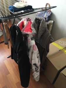 Пальто, спортивный пуховик (забрали), платье