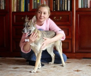 Москва и МО Особенная собачка Шелли ищет мам-пап  - 2.jpg