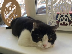 Отдам Даром  - IMG_1784-02-02-17-05-12.jpeg