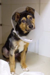 Мальчуган на фото еще со спицами