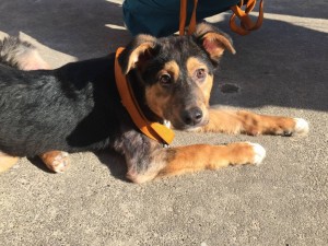 вот такой вот уже сейчас