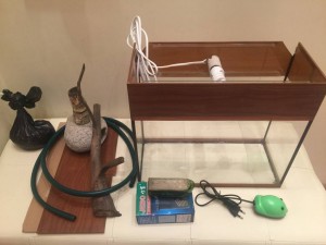 Отдам в хорошие руки аквариум с начинкой  - IMG_1849.JPG