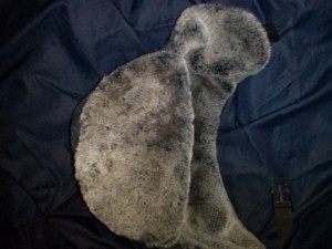 Зимняя шапка ушанка - IMG_20170330_184857.jpg