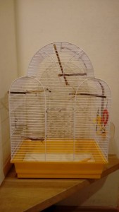 Клетка для птиц - 14949243969001992089816.jpg