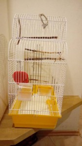 Клетка для птиц - 1494924464441-239589894.jpg