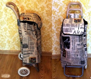 Ищу сумку и чемодан на колесиках - cats=00.jpg