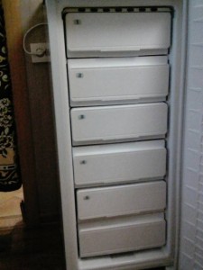 Морозилка Саратов