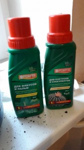 Отдам в самые добрые и надежные руки два фикуса - 2017-08-30 15.44.41.jpg