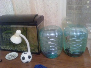 Отдам в хорошие руки аквариум с рыбами - IMG_20170831_213304.jpg