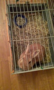 ОТДАН - 20170904_232632.jpg