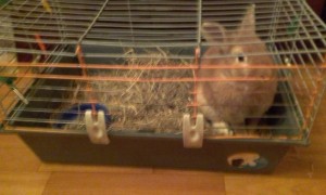 ОТДАН - 20170904_232643.jpg