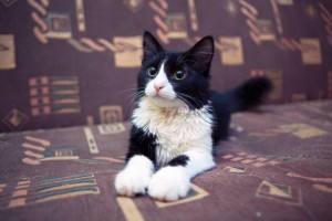 Красавицы сестрички ждут мам и пап  - 5aTTw2r_2Wo.jpg