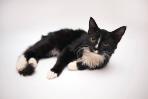 Красавицы сестрички ждут мам и пап  - 6CuT4NrGUDQ.jpg