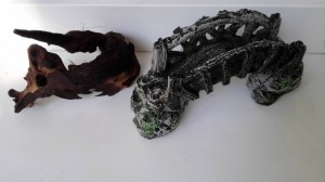 живые растения, коряга и мостик - IMG_20170711_092050.jpg