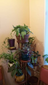 Отдано - 20171026_073506.jpg