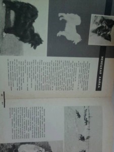 кинологическая литература - ________0099.jpg