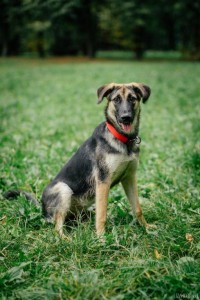 Красавица Хлоя ждёт своего хозяина  - XLakn2u2VQs.jpg