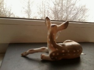 олененок Вербилки - ________0074.jpg