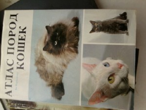 атлас пород - ________0065 (1).jpg