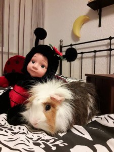 Поросёнок Фунтик - 20171204_183115.jpg