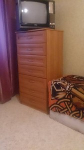 Состояние очень хорошее. Высота около 1.5 м, ширина 60 см