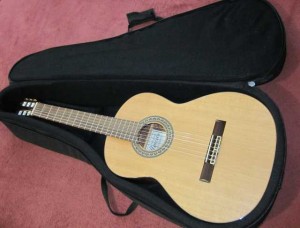 Отдам гитару в хорошие руки - mfsSk.jpg