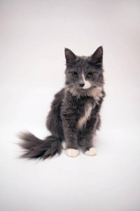 Красавицы сестрички ждут мам и пап  - UY6Wf1SiPz8.jpg