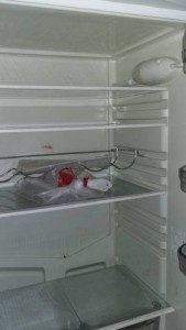 Холодильник Ariston MBA 2185- ОТДАН  - 20180121_110412.jpg