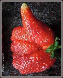 Отдано - ++ЛАЙК++.jpg