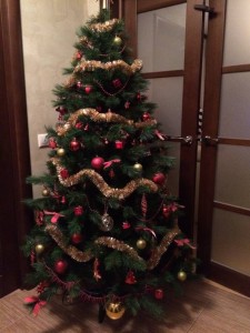 ОТДАНО - IMG_0452.JPG