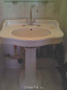 Раковина тюльпан отдам даром - IMG1863.jpg