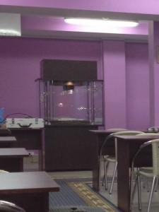 Отдам почти даром лототрон - лототрон.jpg