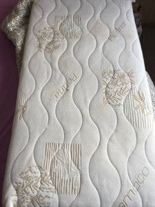 Отдано  - IMG_3355.JPG