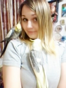 Мальчишки Фил (на плече) и Тим. Фил привезен из питера, биография с печальным прошлым, но спасибо Анастасии за его чудесное спасение. Тим куплен за символическую цену, была ощипана вся шея, оба прошли курс реабилитации...... далеко не все виды и члены нашей семьи.