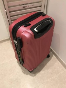 Чемодан отдам ОТДАНО - F783804D-4423-4FD3-8147-9960284AE23A.jpeg