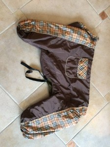 Комбинезон для боксера кобель . - IMG_5339.JPG