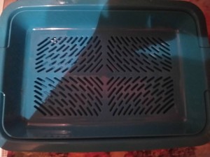 Для кошечки - IMG_20180528_220341.jpg