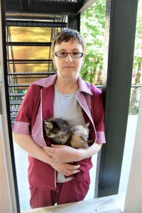 Котята даром - DSC_0469.JPG