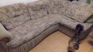 Угловой диван - IMG_20180625_221844.jpg