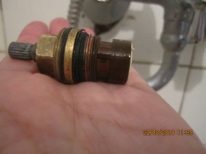 Всё. С Букой в магазин.