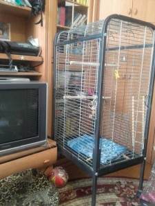 Вольер для птиц Можно для животных  - вольер 2.jpg